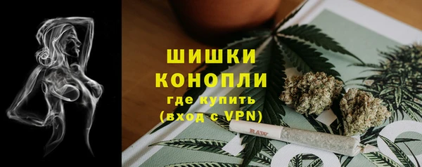 МДПВ Мегион