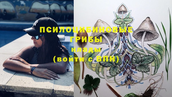 jwh Медвежьегорск