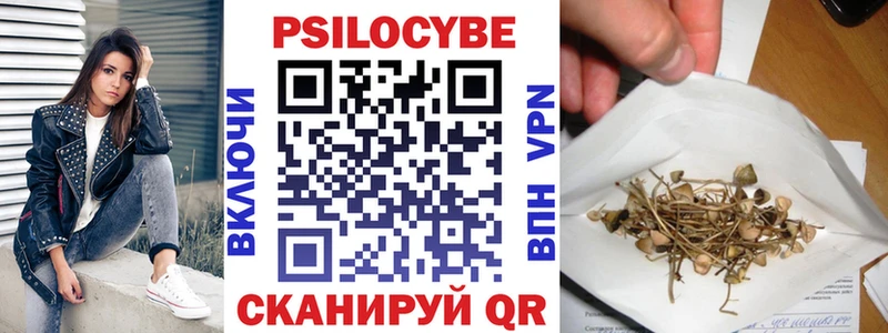 MEGA как зайти  Дрезна  Галлюциногенные грибы мухоморы  где найти наркотики 