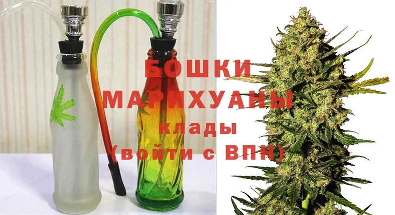 Бошки марихуана THC 21%  как найти наркотики  Дрезна 